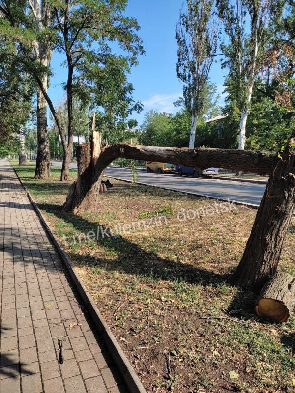 Алексей Кулемзин: Ликвидация последствий непогоды в городе продолжается Алексей Кулемзин: Ликвидация последствий непогоды в городе продолжается