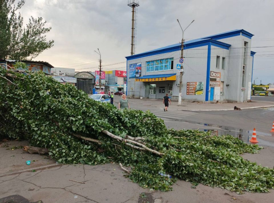 Виктория Жукова: В связи с вчерашней стихией в нашем округе от ветра возникло множество повреждений и неудобств Виктория Жукова: В связи с вчерашней стихией в нашем округе от ветра возникло множество повреждений и неудобств