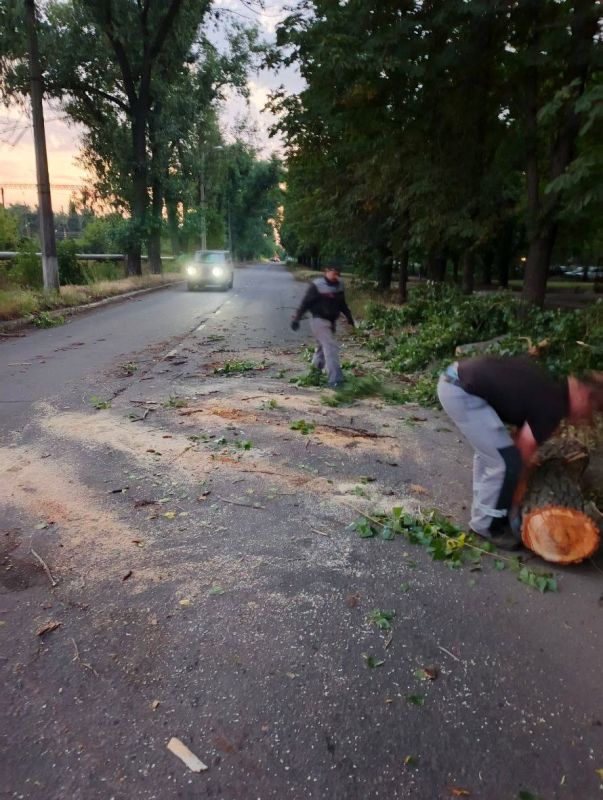 Виктория Жукова: В связи с вчерашней стихией в нашем округе от ветра возникло множество повреждений и неудобств Виктория Жукова: В связи с вчерашней стихией в нашем округе от ветра возникло множество повреждений и неудобств