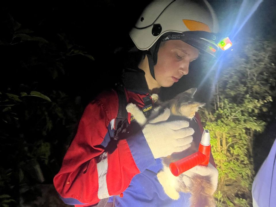 Добровольцы Донецкого РО ВСКС всю ночь помогали специальным службам тушить крупный ландшафтный пожар в Зуевке Добровольцы Донецкого РО ВСКС всю ночь помогали специальным службам тушить крупный ландшафтный пожар в Зуевке