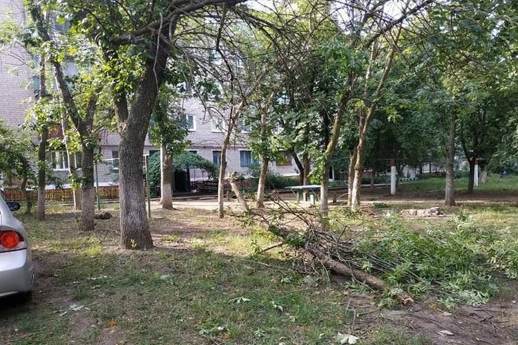Последствия ураганного ветра в ДНР: Последствия ураганного ветра в ДНР: