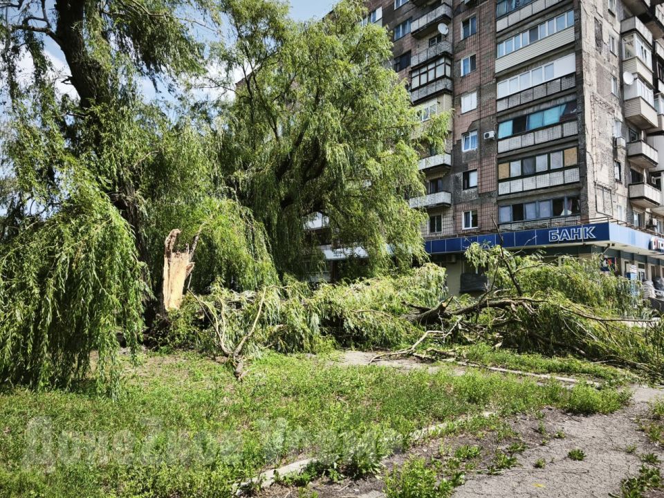Нужно ускориться: глава ДНР поручил спилить аварийные деревья и оценить ущерб от непогоды Нужно ускориться: глава ДНР поручил спилить аварийные деревья и оценить ущерб от непогоды