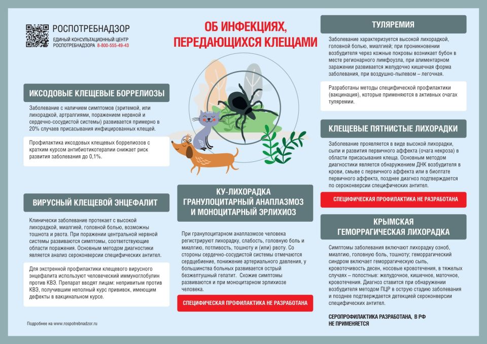 Получить налоговый вычет за лечение пенсионеров могут их дети Получить налоговый вычет за лечение пенсионеров могут их дети