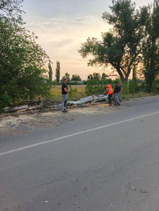 Виктория Жукова: В связи с вчерашней стихией в нашем округе от ветра возникло множество повреждений и неудобств Виктория Жукова: В связи с вчерашней стихией в нашем округе от ветра возникло множество повреждений и неудобств