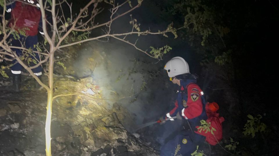 Добровольцы Донецкого РО ВСКС всю ночь помогали специальным службам тушить крупный ландшафтный пожар в Зуевке Добровольцы Донецкого РО ВСКС всю ночь помогали специальным службам тушить крупный ландшафтный пожар в Зуевке