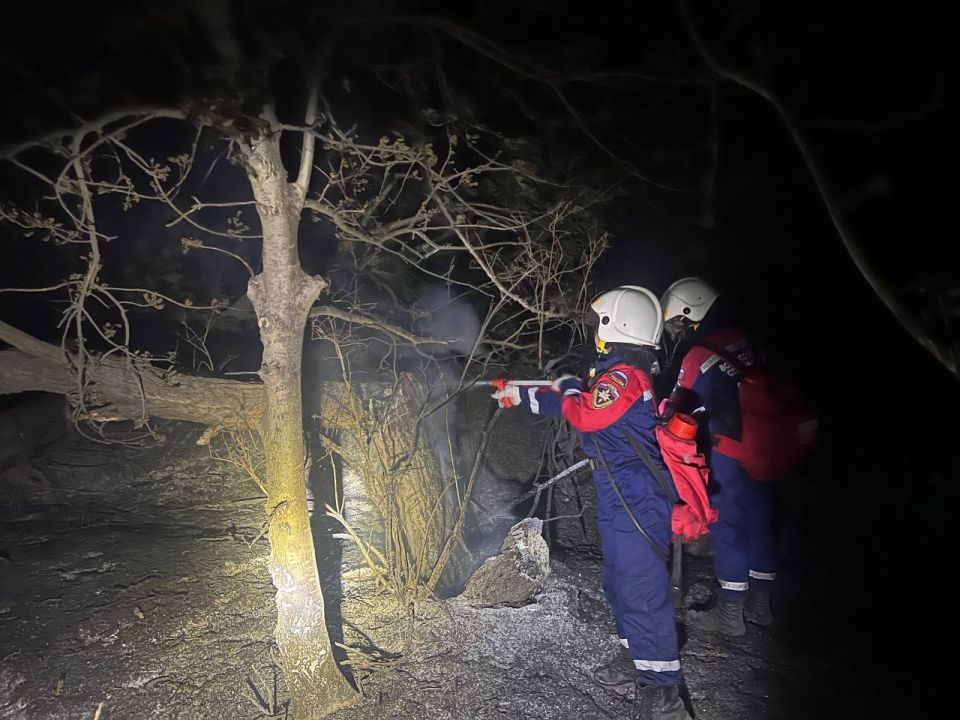 Добровольцы Донецкого РО ВСКС всю ночь помогали специальным службам тушить крупный ландшафтный пожар в Зуевке Добровольцы Донецкого РО ВСКС всю ночь помогали специальным службам тушить крупный ландшафтный пожар в Зуевке