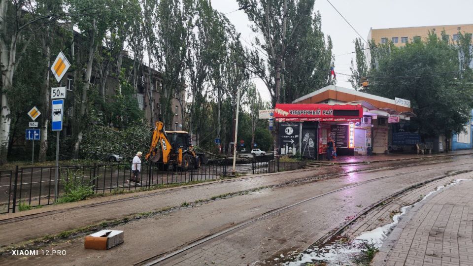 “Упавшее на ребенка дерево было аварийным”: 10-летний мальчик погиб в Донецке “Упавшее на ребенка дерево было аварийным”: 10-летний мальчик погиб в Донецке