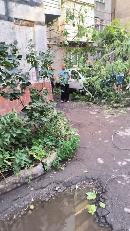 “Упавшее на ребенка дерево было аварийным”: 10-летний мальчик погиб в Донецке “Упавшее на ребенка дерево было аварийным”: 10-летний мальчик погиб в Донецке