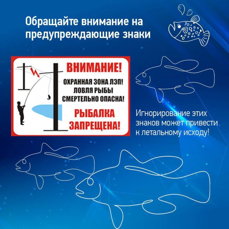 «Россети Центр» напоминают: рыбачить под действующими линиями электропередачи смертельно опасно! «Россети Центр» напоминают: рыбачить под действующими линиями электропередачи смертельно опасно!
