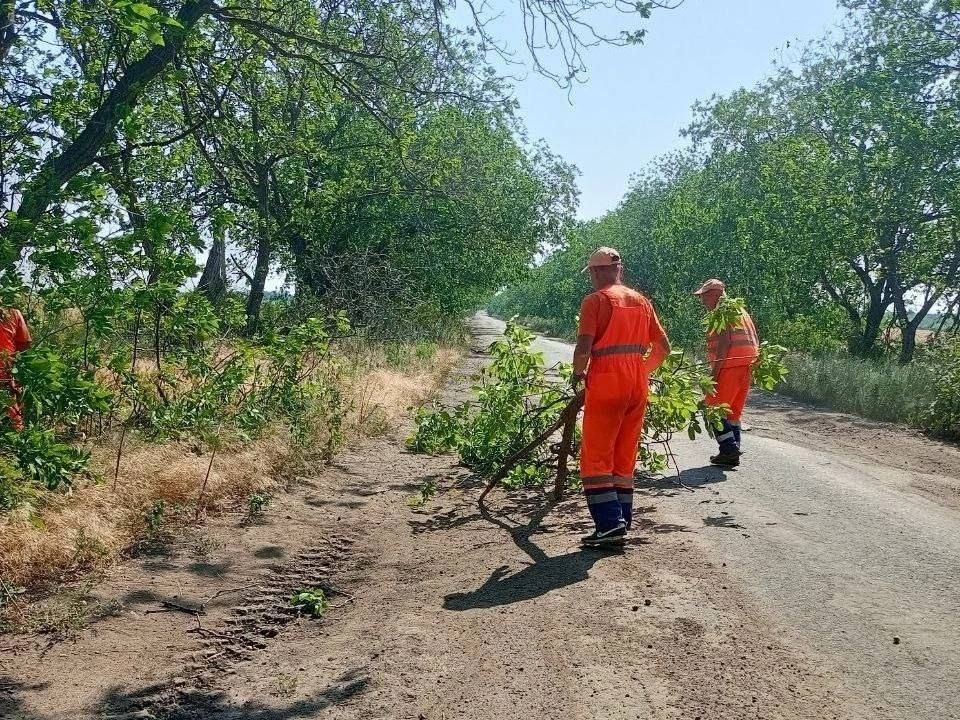 ДНР расчистили автомагистрали от веток и поваленных ураганом деревьев ДНР расчистили автомагистрали от веток и поваленных ураганом деревьев