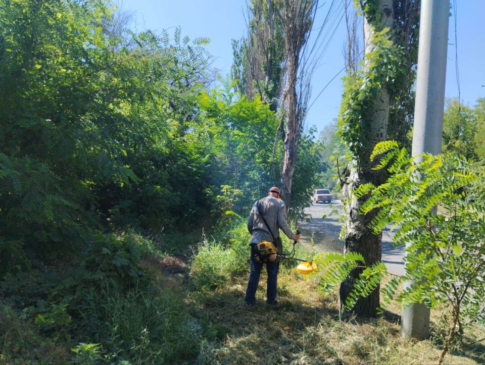 Сегодня, 15 июля, с целью приведения территории в надлежащее санитарное состояние предприятиями, организациями и учреждениями Кировского внутригородского района продолжаются работы по покосу травы на закрепленных и... Сегодня, 15 июля, с целью приведения территории в надлежащее санитарное состояние предприятиями, организациями и учреждениями Кировского внутригородского района продолжаются работы по покосу травы на закрепленных и...