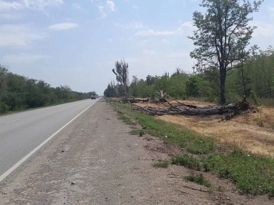 ДНР расчистили автомагистрали от веток и поваленных ураганом деревьев ДНР расчистили автомагистрали от веток и поваленных ураганом деревьев