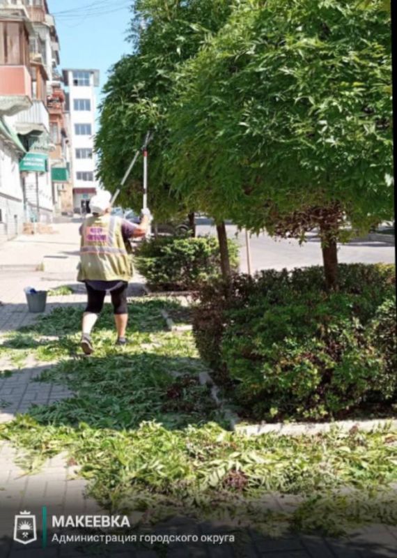 В Макеевке коммунальные службы продолжают устранять аварийные деревья В Макеевке коммунальные службы продолжают устранять аварийные деревья
