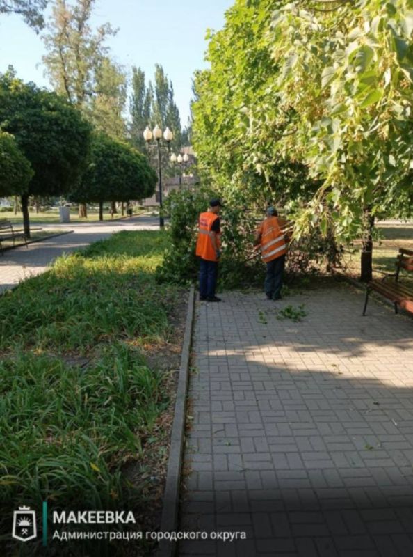 В Макеевке коммунальные службы продолжают устранять аварийные деревья В Макеевке коммунальные службы продолжают устранять аварийные деревья