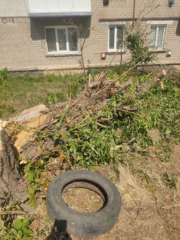 Александр Качанов: В администрации городского округа Докучаевск создана Комиссия по обследованию состояния зеленых насаждений в пределах границ муниципального образования городской округ Докучаевск Донецкой Народной... Александр Качанов: В администрации городского округа Докучаевск создана Комиссия по обследованию состояния зеленых насаждений в пределах границ муниципального образования городской округ Докучаевск Донецкой Народной...