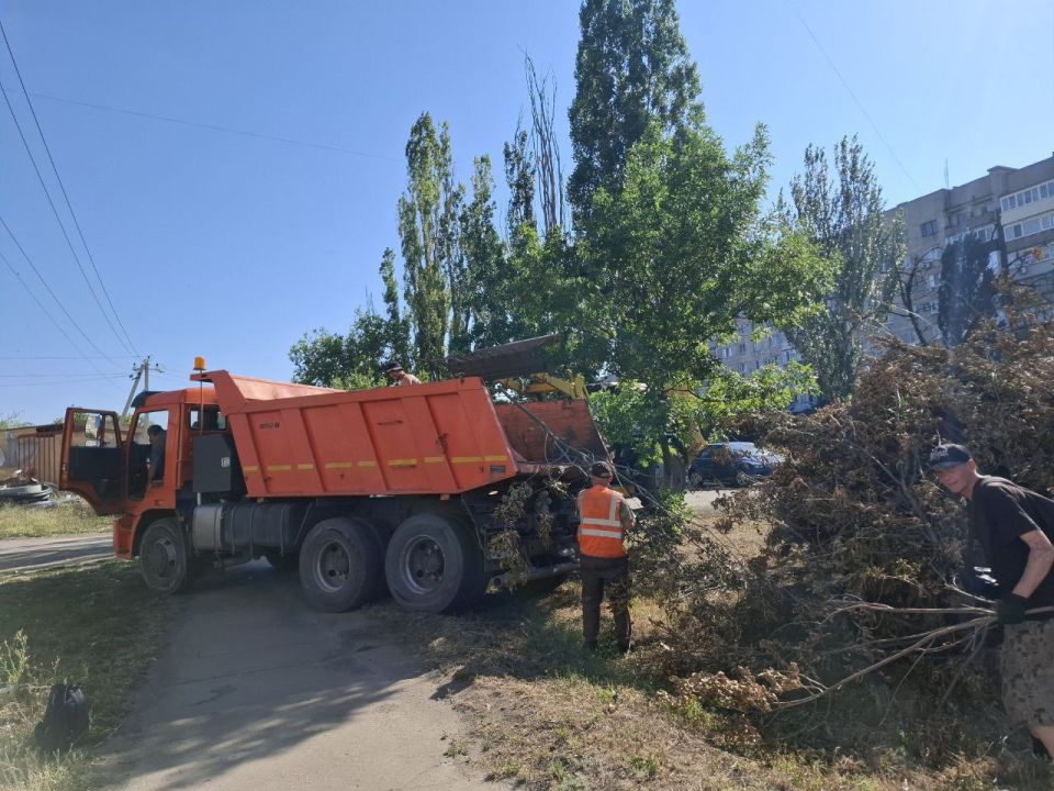 По поручению Главы ДНР Дениса Пушилина на территории муниципального образования городской округ Торез Донецкой Народной Республики проводятся работы по распилу аварийных деревьев По поручению Главы ДНР Дениса Пушилина на территории муниципального образования городской округ Торез Донецкой Народной Республики проводятся работы по распилу аварийных деревьев