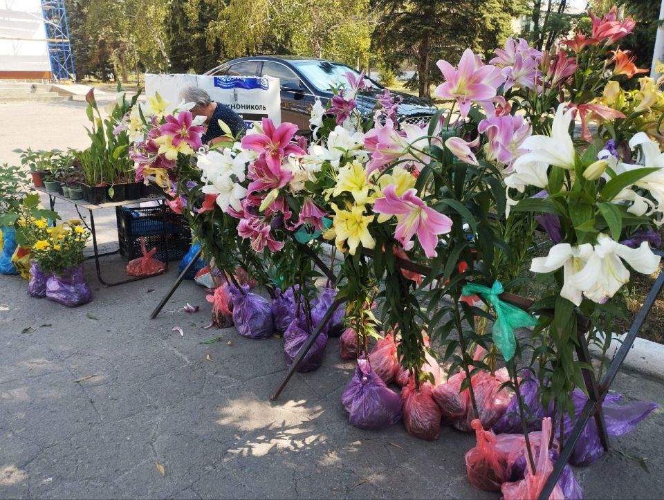 В Ждановке прошла ярмарка. 16 июля у городского центра культуры и досуга были представлены товары от производителей и предпринимателей из разных городов Донецкой Народной Республики В Ждановке прошла ярмарка. 16 июля у городского центра культуры и досуга были представлены товары от производителей и предпринимателей из разных городов Донецкой Народной Республики