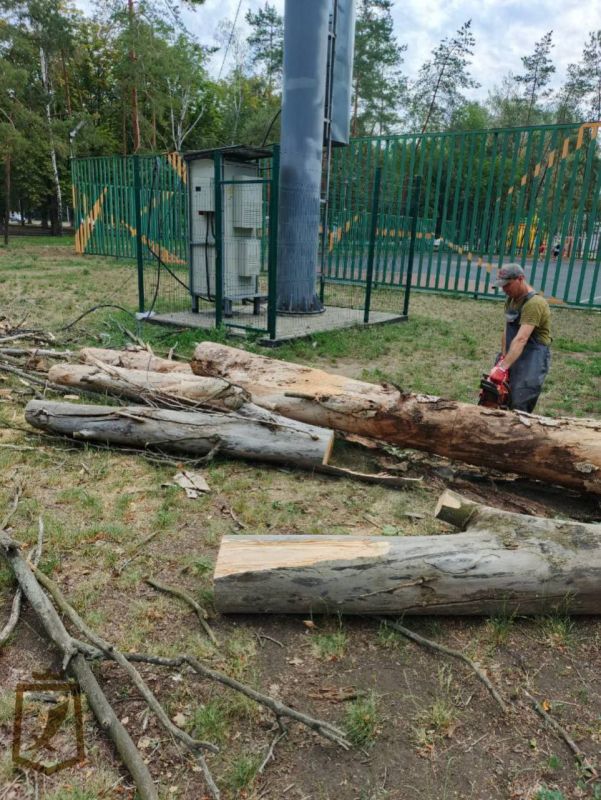 Виктория Жукова: По поручению Главы Донецкой Народной Республики Дениса Пушилина в Харцызском городском округе с 13 июля проводятся работы по устранению последствий непогоды Виктория Жукова: По поручению Главы Донецкой Народной Республики Дениса Пушилина в Харцызском городском округе с 13 июля проводятся работы по устранению последствий непогоды