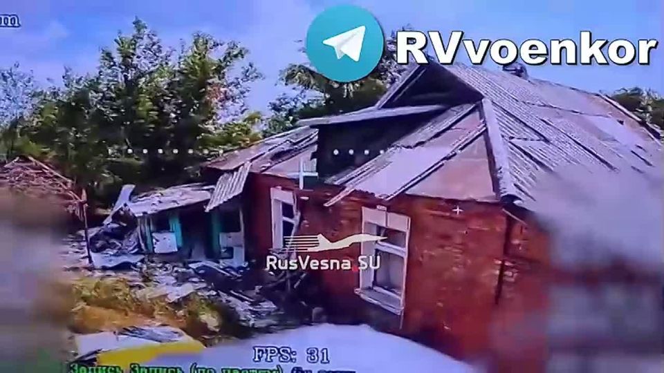    :   ,      