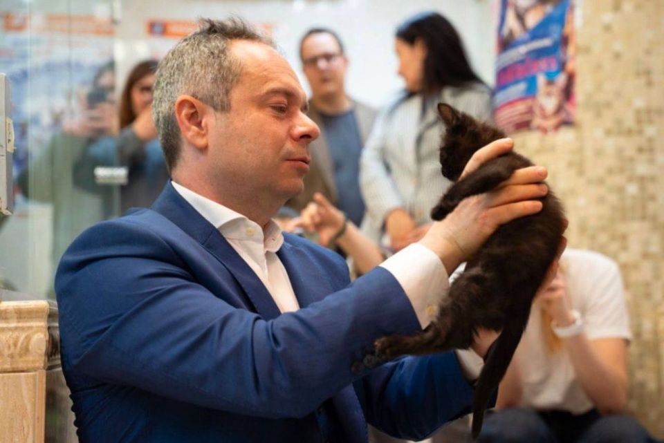 В Театр кошек Куклачева приняли трех котов из зоны СВО В Театр кошек Куклачева приняли трех котов из зоны СВО
