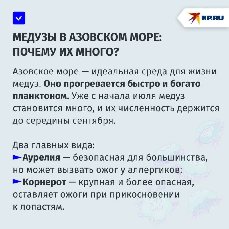 Медуз в Азовском море «прогонят» мальки: рассказываем о том, как очистить море от «морских ос» Медуз в Азовском море «прогонят» мальки: рассказываем о том, как очистить море от «морских ос»