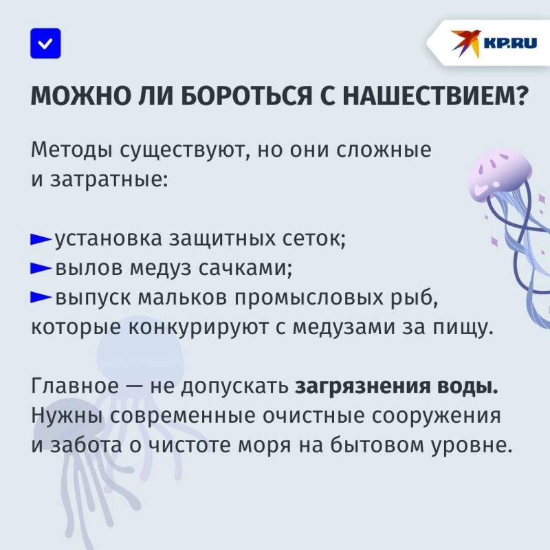 Медуз в Азовском море «прогонят» мальки: рассказываем о том, как очистить море от «морских ос» Медуз в Азовском море «прогонят» мальки: рассказываем о том, как очистить море от «морских ос»