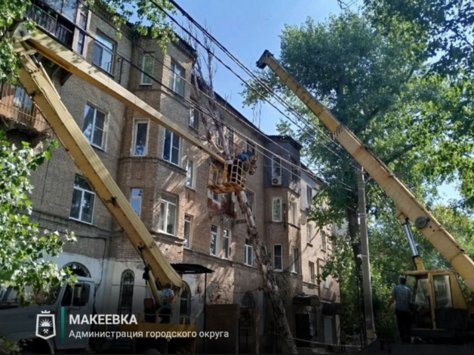 Сотрудниками МУП АГМ «Перспектива» выполнены работы: Сотрудниками МУП АГМ «Перспектива» выполнены работы:
