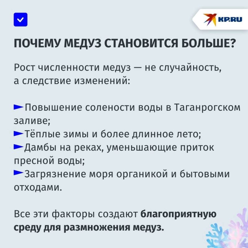 Медуз в Азовском море «прогонят» мальки: рассказываем о том, как очистить море от «морских ос» Медуз в Азовском море «прогонят» мальки: рассказываем о том, как очистить море от «морских ос»