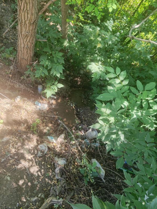 Депутаты Сергей Ярош и Александр Ковтырин выехали на адреса водных порывов Депутаты Сергей Ярош и Александр Ковтырин выехали на адреса водных порывов