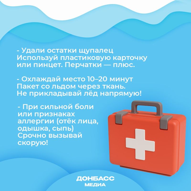 На берегу Азовского моря появились медузы На берегу Азовского моря появились медузы