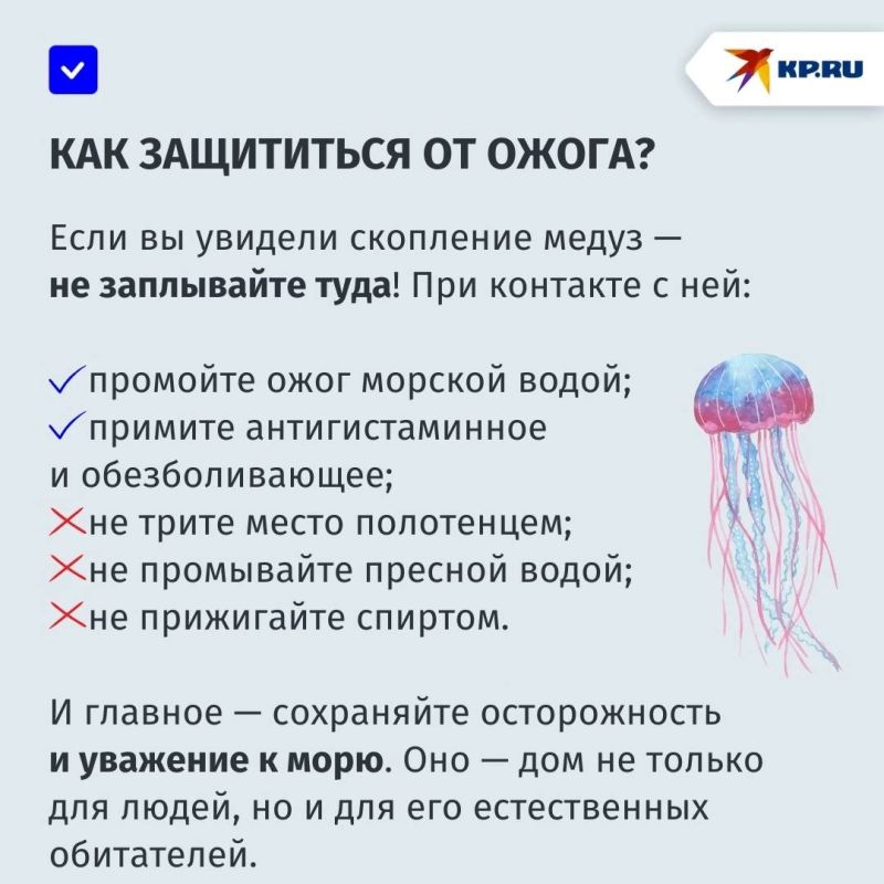Медуз в Азовском море «прогонят» мальки: рассказываем о том, как очистить море от «морских ос» Медуз в Азовском море «прогонят» мальки: рассказываем о том, как очистить море от «морских ос»