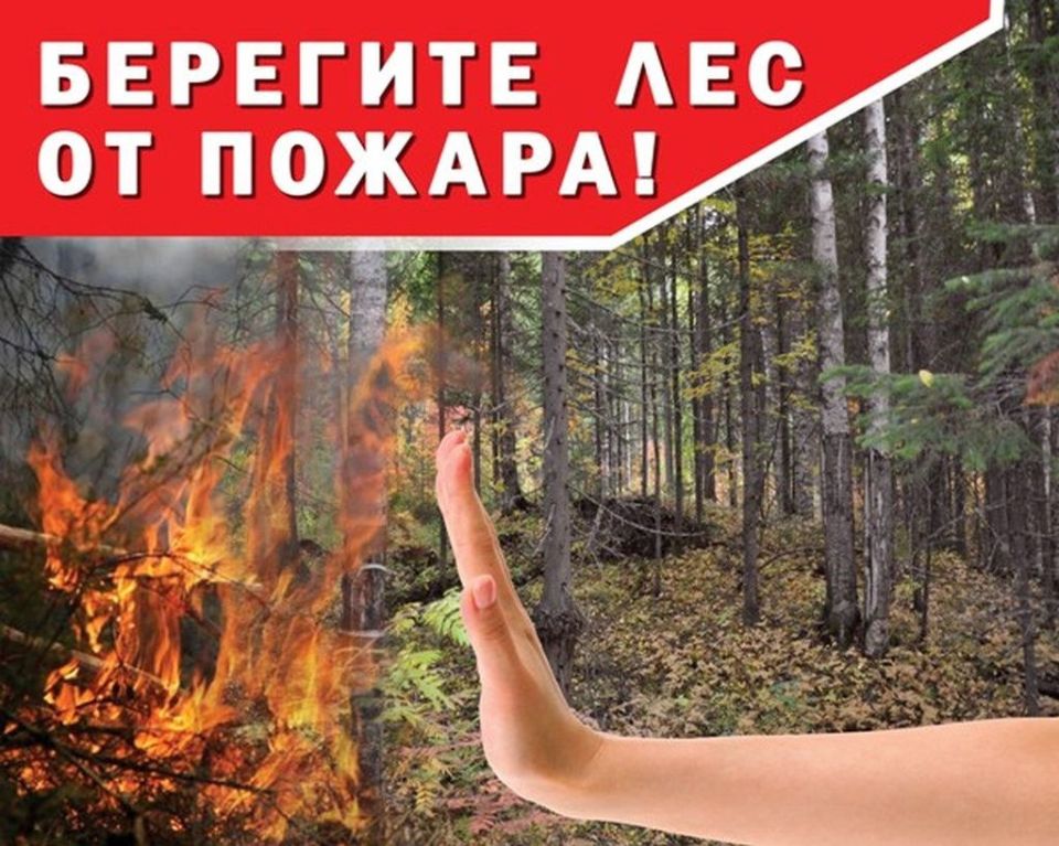 Напоминаем, что для удобства отработки сообщений горожан функционирует чат Администрации городского округа Макеевка, имеющий подразделы по отраслевым направлениям Напоминаем, что для удобства отработки сообщений горожан функционирует чат Администрации городского округа Макеевка, имеющий подразделы по отраслевым направлениям
