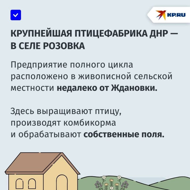 Как работает одна из крупнейших птицефабрик в ДНР Как работает одна из крупнейших птицефабрик в ДНР