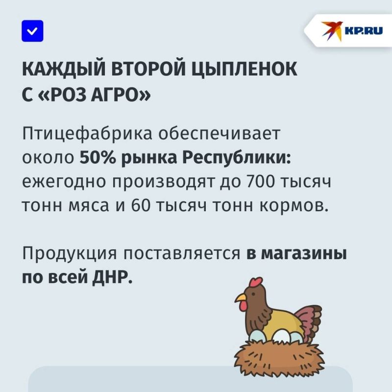 Как работает одна из крупнейших птицефабрик в ДНР Как работает одна из крупнейших птицефабрик в ДНР