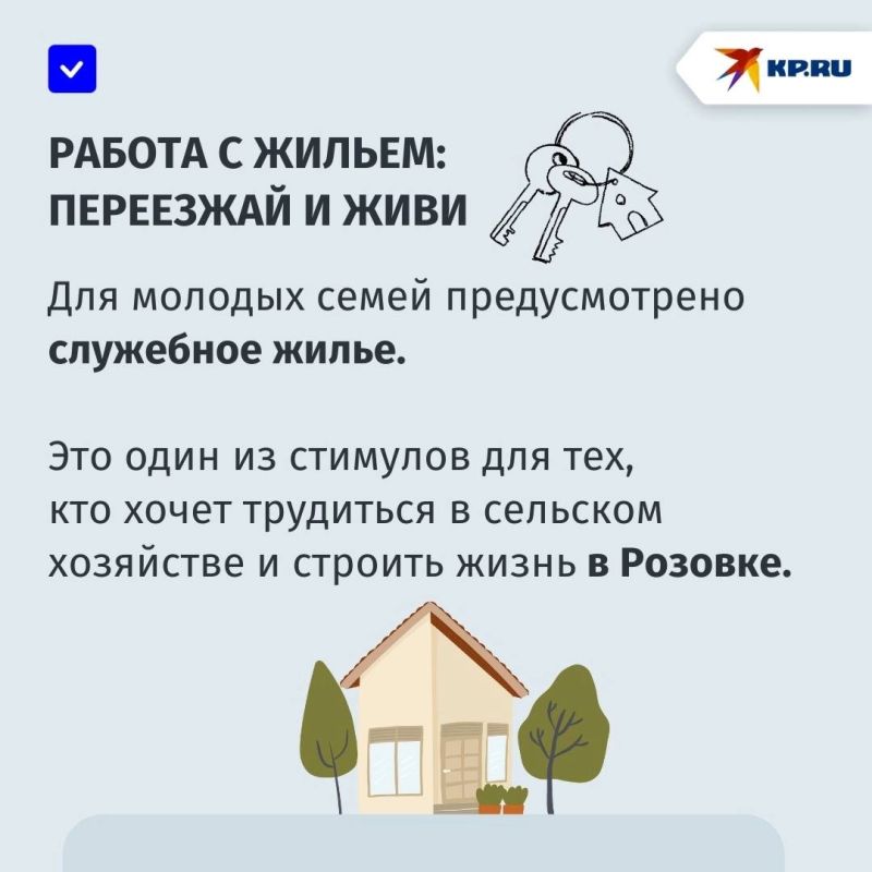 Как работает одна из крупнейших птицефабрик в ДНР Как работает одна из крупнейших птицефабрик в ДНР