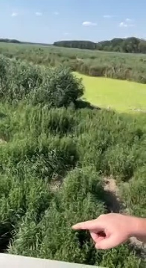                ,       ,    ,   ...