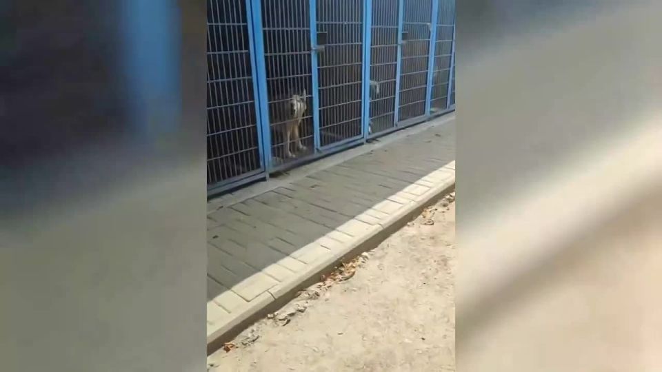  :     4    !