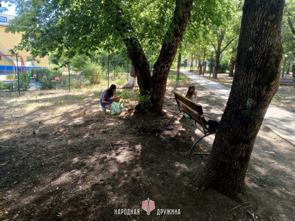 Молодёжь за чистое будущее Молодёжь за чистое будущее