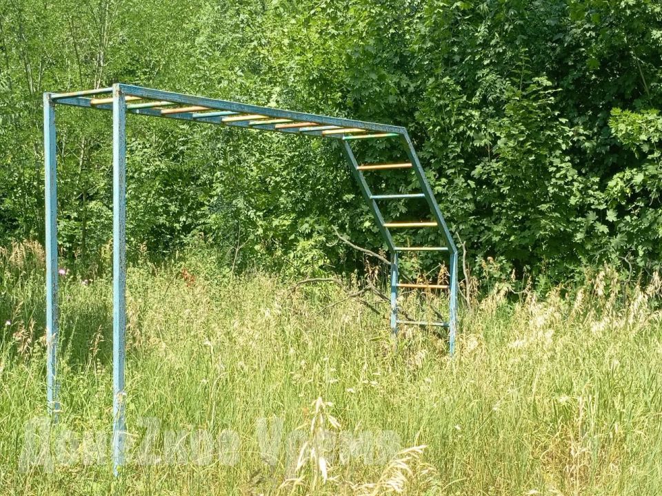 “Отняли, ничего не предложив взамен”: жители Азотного отстаивают единственный парк в микрорайоне “Отняли, ничего не предложив взамен”: жители Азотного отстаивают единственный парк в микрорайоне