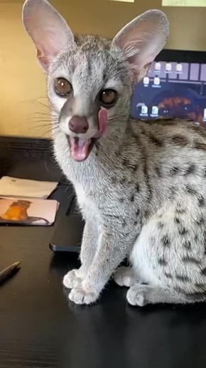  , !.       ,  ,     