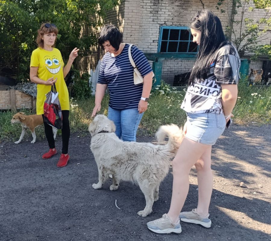 Забота о четвероногих: Анна Макарова и Анна Матраева посетили Дебальцевский приют для собак Забота о четвероногих: Анна Макарова и Анна Матраева посетили Дебальцевский приют для собак