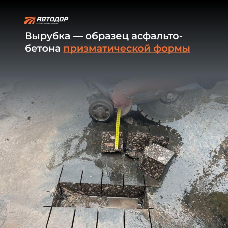 В Госкомпании "Автодор" рассказали, чем керн отличается от вырубки В Госкомпании "Автодор" рассказали, чем керн отличается от вырубки