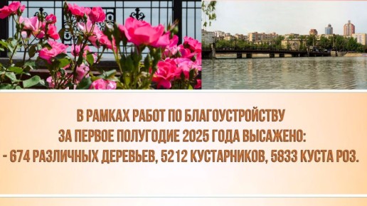  :          2025 