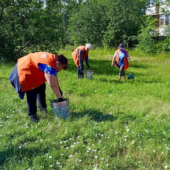 «Чистый четверг» в Буденновском районе «Чистый четверг» в Буденновском районе