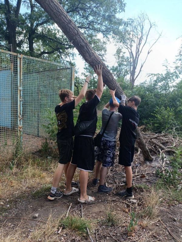 Виктория Жукова: Сегодня совместными усилиями отдела молодежной политики, Молодой Гвардии, Народной Дружины, Народного Фронта и волонтеров Дома Народного Единства была организована уборка по адресу ул. Кондратьева, 2а.... Виктория Жукова: Сегодня совместными усилиями отдела молодежной политики, Молодой Гвардии, Народной Дружины, Народного Фронта и волонтеров Дома Народного Единства была организована уборка по адресу ул. Кондратьева, 2а....