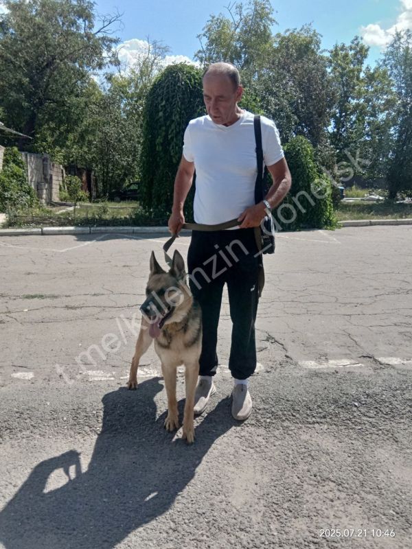 Алексей Кулемзин: Бездомные животные… В этих словах скрыта глубокая печаль и предательство Алексей Кулемзин: Бездомные животные… В этих словах скрыта глубокая печаль и предательство