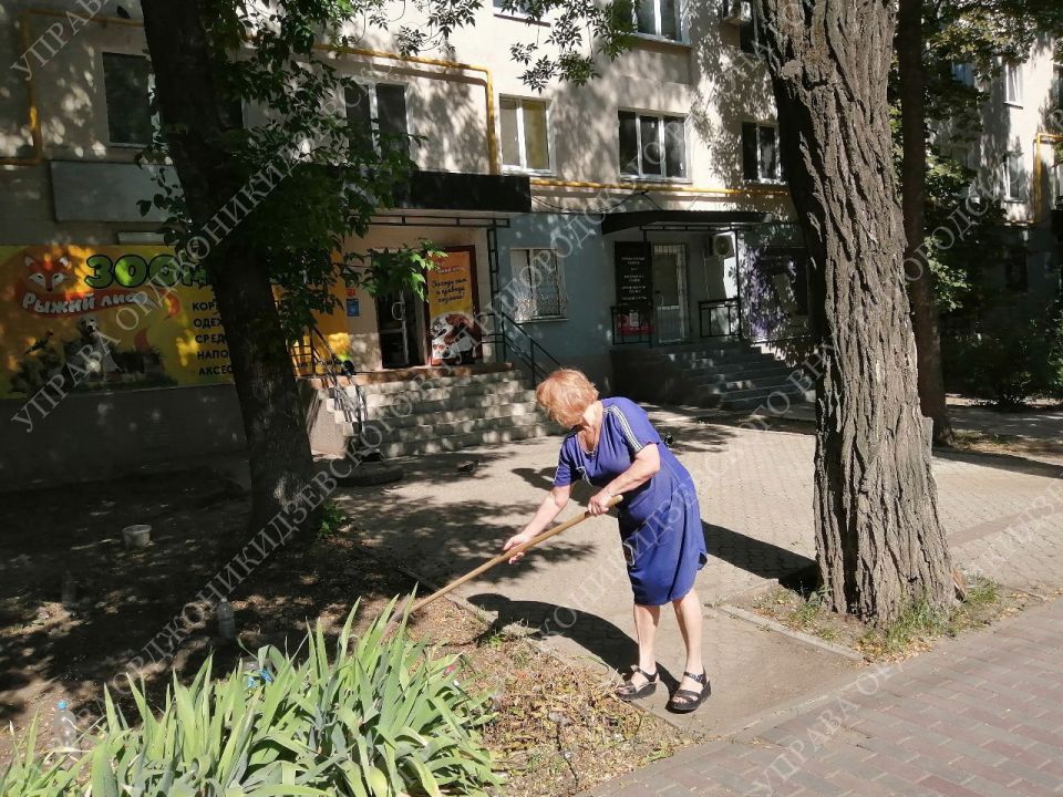 ОБЩИМИ СИЛАМИ - К ЧИСТОМУ ГОРОДУ! ОБЩИМИ СИЛАМИ - К ЧИСТОМУ ГОРОДУ!