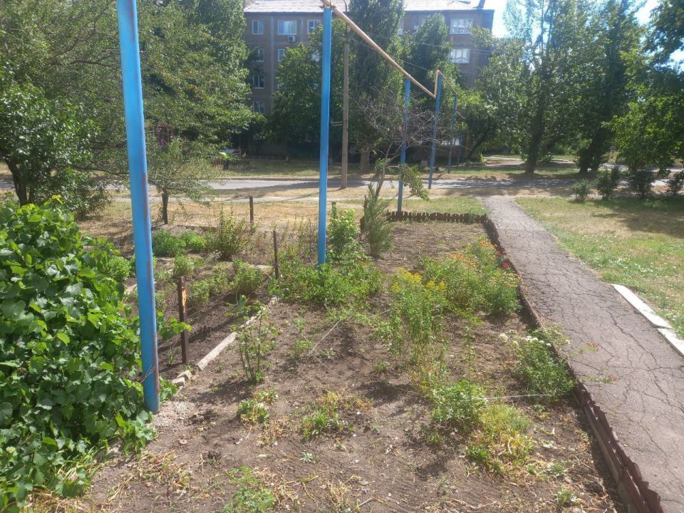 По поручению Главы ДНР Дениса Пушилина провели в внеплановый субботник По поручению Главы ДНР Дениса Пушилина провели в внеплановый субботник