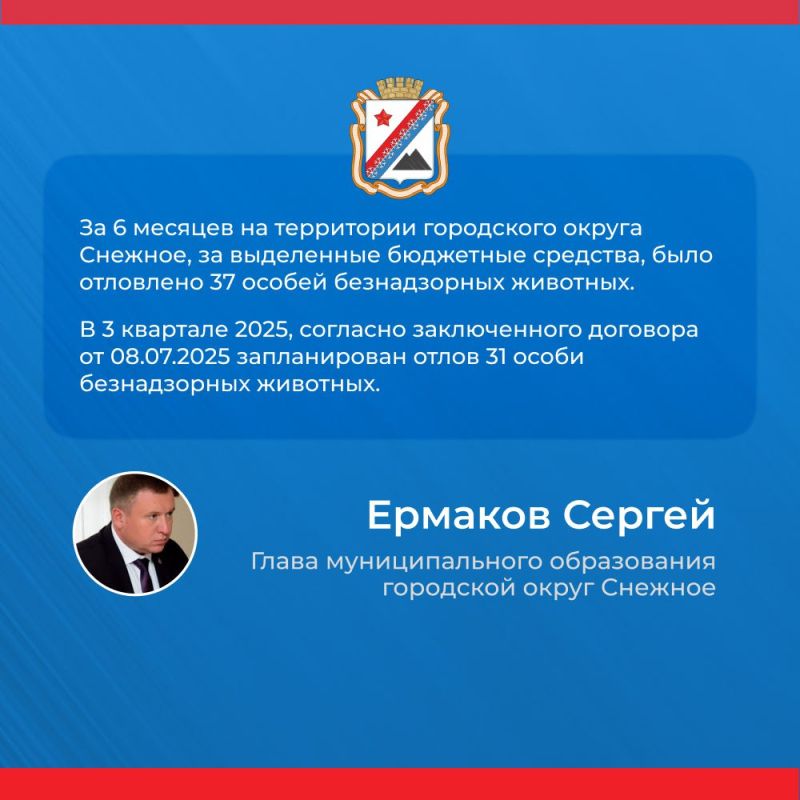 Итоги прямого эфира главы муниципального образования городской округ Снежное Сергея Ермакова Итоги прямого эфира главы муниципального образования городской округ Снежное Сергея Ермакова