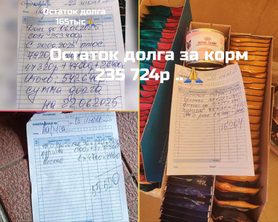 Друзья, наш частный приют "Мурысин дом" г.Луганска, который недавно переименован ( нас многие путали с таким же названием приюта из Донецка), где более 200 хвостиков, находясь в зоне проведения СВО и не имея никакой... Друзья, наш частный приют "Мурысин дом" г.Луганска, который недавно переименован ( нас многие путали с таким же названием приюта из Донецка), где более 200 хвостиков, находясь в зоне проведения СВО и не имея никакой...